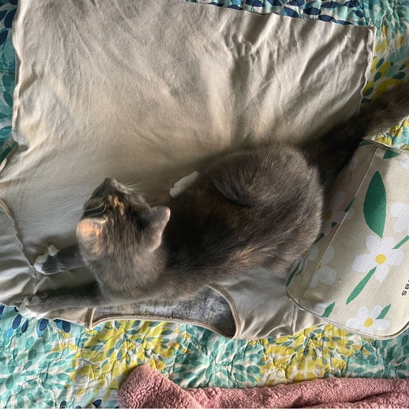 Meet your Posher, Rae - Picture 7 of 10